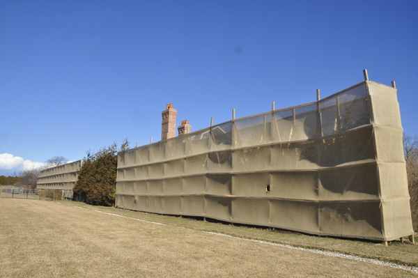 Screened evergreens in Water Mill.