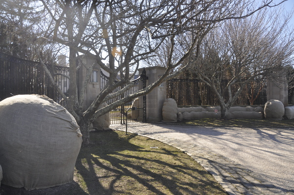 Wrapped bushes in Water Mill.