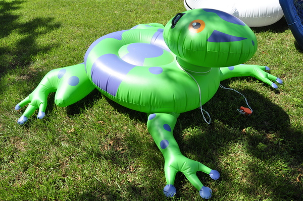 An inflatable frog pool float at Spring & Summer Activities in Hampton Bays.