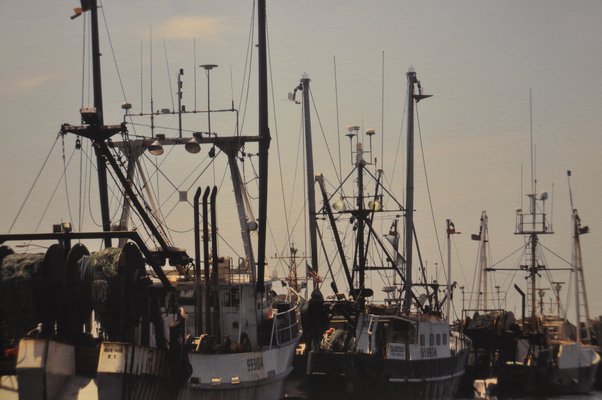 Fishing vessels docked in Montauk, by Wendi Blair. MICHELLE TRAURING