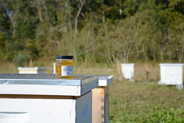 The 3-acres in Eastport the Peconic Land Trust has rented out to beekeeper John Witzenbocker has allowed him to produce enough honey to sell at local markets: Sag Harbor Honey. JD ALLEN