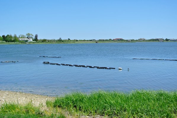 Oyster beds at the shellfish hatchery on the Shinniecock Reservation. DANA SHAW