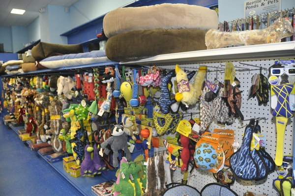 One Stop Pet Shop in Westhampton sells a variety of pet toys and beds. MICHELLE TRAURING