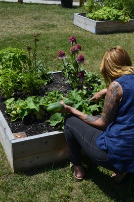 Heather Spagnoli tends to her cucumbers at the community garden she helped create in Eastport. BY ERIN MCKINLEY