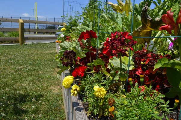 A community garden and beautification project has been launched in Eastport. BY ERIN MCKINLEY