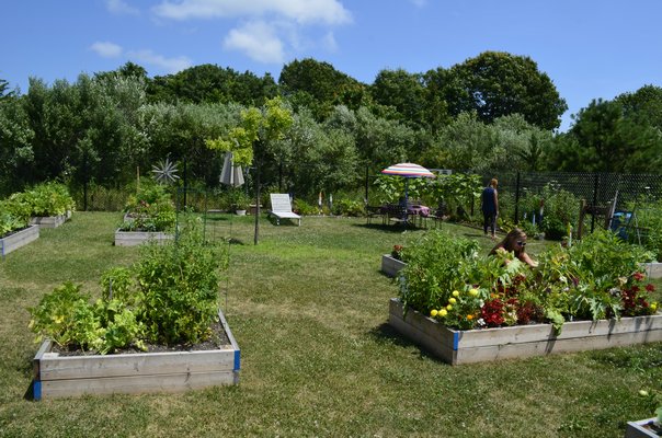 A community garden and beautification project has been launched in Eastport. BY ERIN MCKINLEY