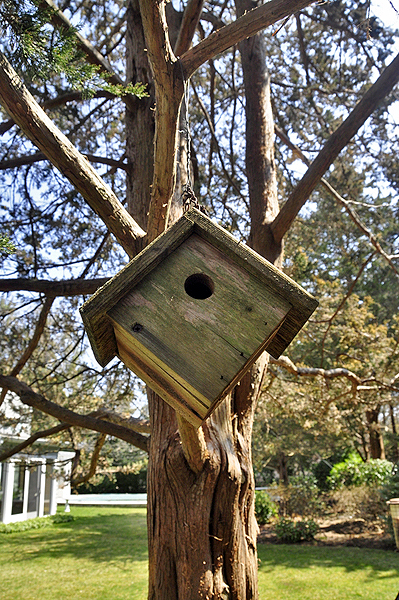 Scenes from Fred and Monica Meyer's Remsenburg garden. MICHELLE TRAURING