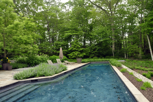 Daniel Chung & Alexandra Alger's East Hampton garden was featured on the "Landscape Pleasures: Down the Garden Path" tour last weekend. MICHELLE TRAURING