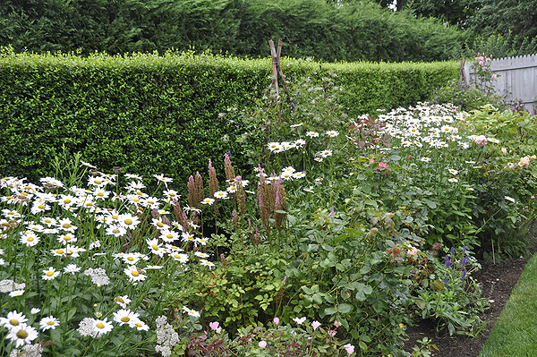 Inside the gardens of a home on Tuthill Lane in Remsenburg. MICHELLE TRAURING