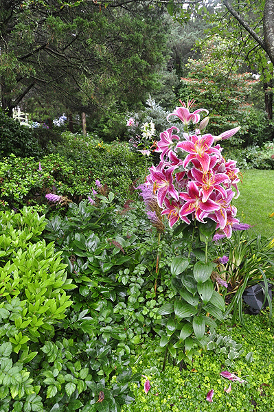 Scenes from Fred and Monica Meyer's garden in Remsenburg during a tour last summer. MICHELLE TRAURING