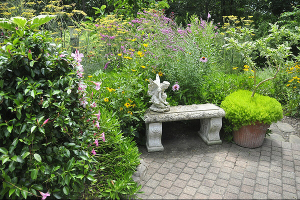 Inside Maria Daddino's garden on Malloy Drive. MICHELLE TRAURING