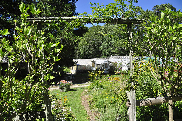 Scenes from Son Jardin. MICHELLE TRAURING