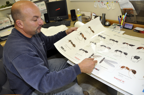 Joseph Cardaci, co-owner of Hampton Pest Control, talks ants at his store in Quogue. MICHELLE TRAURING