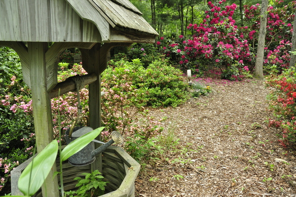 A Flanders garden that will be open on Saturday, June 11, for the "Remsenburg Area Garden Tour."