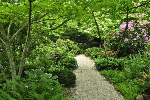 Deonne Finkelstein's Remsenburg garden will be open on Saturday, June 11, for the "Remsenburg Area Garden Tour."