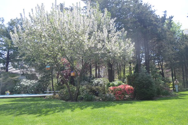 Fred Meyer's garden evolved among the cedar trees in his backyard. JENNIFER BIGORA