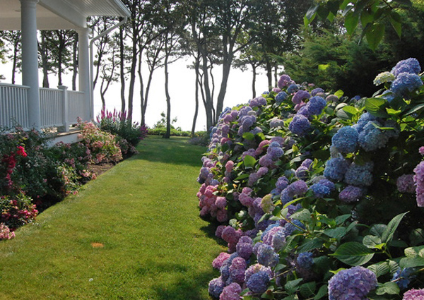 Sue Nydegger's Hampton Bays garden, which overlooks the Shinnecock Bay.