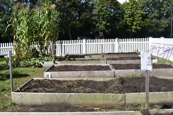 Garden beds in Eastport Elementary's farm. CHRIS PERAINO