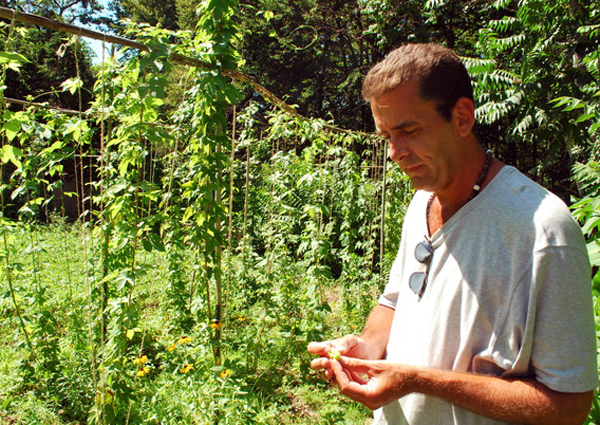 Jeff Cully of Quogue with his backyard hops.