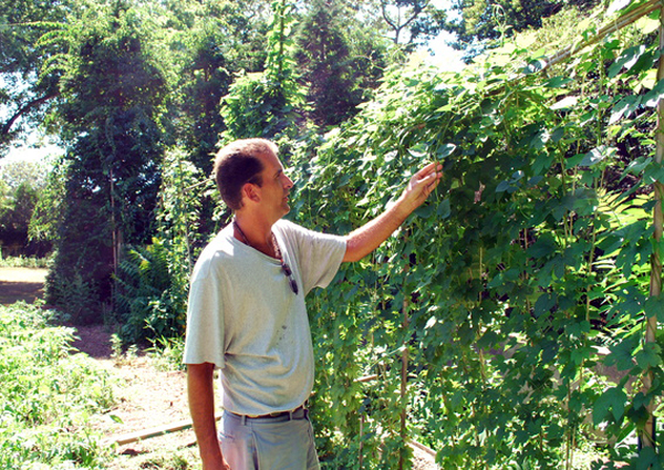 Jeff Cully of Quogue with his backyard hops.