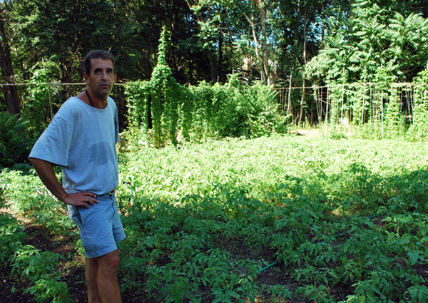 Jeff Cully of Quogue with his backyard tomatoes.