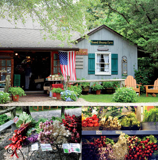 Susan Meisel montage of Round Swamp Farm stand in East Hampton for "Fresh from the Farm."