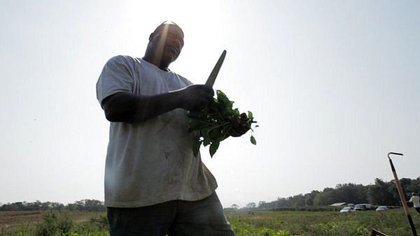 Farmer Rodderick Brown. MICHAEL HALSBAND