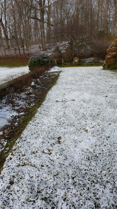 Some lawns and gardens looked like this on April 1st. Resist the need to feed until May. ANDREW MESSINGER
