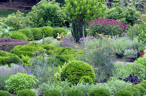 Herb garden in full bloom at Bridge Gardens in Bridgehampton. COURTESY PECONIC LAND TRUST