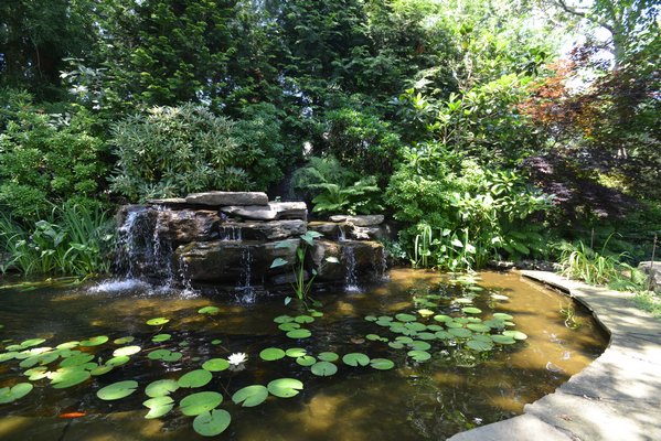 The Hersch garden is full of secret areas like this hidden waterfall. ALEX GOETZFRIED