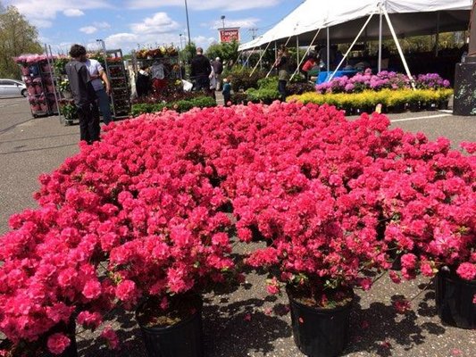 The 23rd Annual East End Garden Festival runs from 9 a.m. to 6 p.m. on May 10-12, and from 9 a.m. to 2 p.m. on May 13 at Tanger Outlets in Riverhead. COURTESY RAJESH PATEL