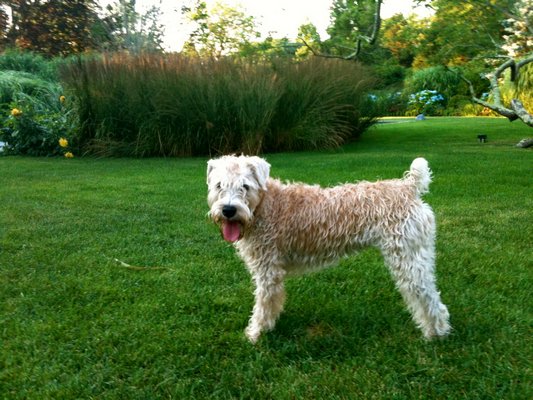 Lucy Slifka in the garden. COURTESY SLIFKA FAMILY