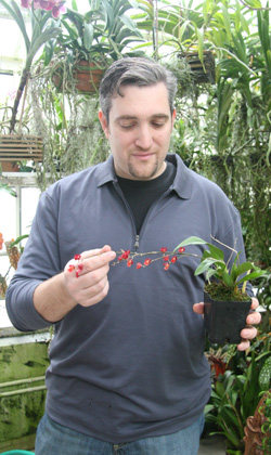 Orchid collector Dr. Robert Moraru in his East Hampton greenhouse. KYRIL BROMLEY