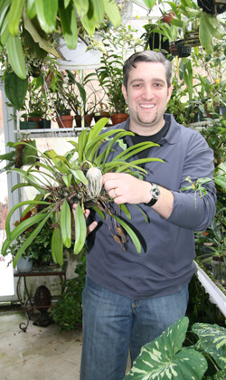 Orchid collector Dr. Robert Moraru in his East Hampton greenhouse. KYRIL BROMLEY