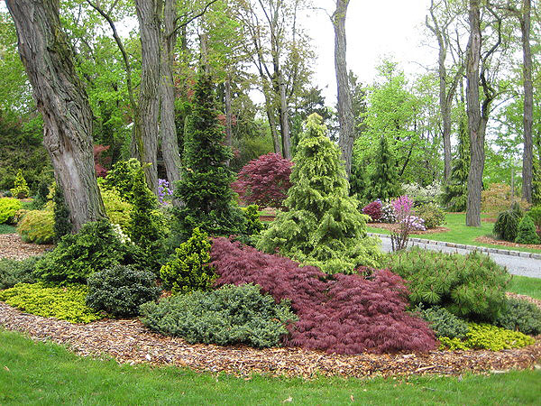 The fall garden with Japanese maples and conifers.   COURTESY BRUCE FELLER