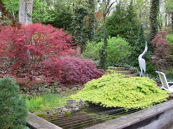 An autumn grouping showing contrasting forms and textures.  COURTESY BRUCE FELLER