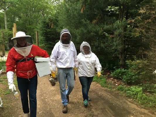 Three bad beekeepers, doing their best. LISA DAFFY