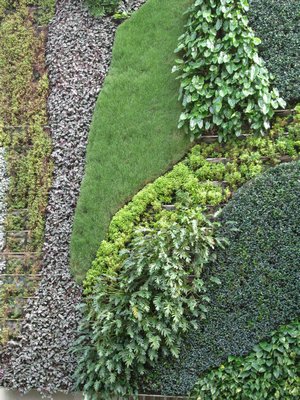Palm Beach landscaping. MARSHALL WATSON