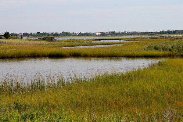 Napeague marshes with Lazy Point in the distance. KYRIL BROMLEY