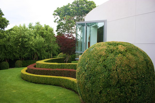Triple hedges consisting of boxwood and barberry planted in a circular form to mimic the architectural lines of a modern circular house.  COURTESY CRAIG SOCIA