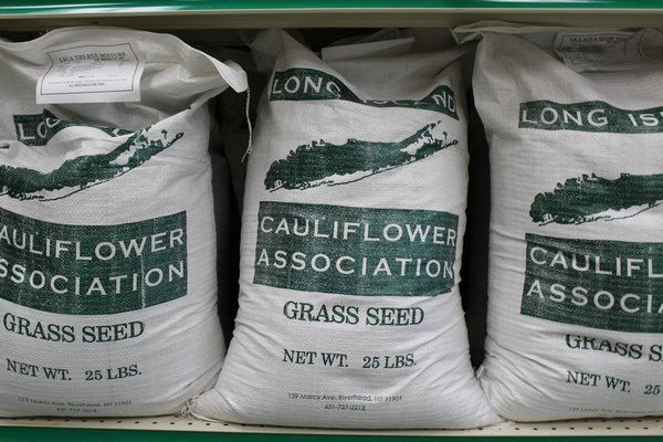 The Long Island Cauliflower Association stocks its own mix of grass seed. ALEXANDRA TALTY