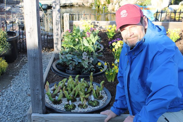 Eric Kunz of Setauket shows off features in his carnivorious plant display inside the Hitherbrook Nursery in St. James. KYLE CAMPBELL