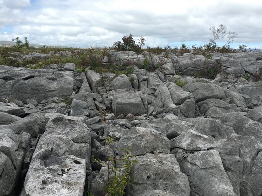 The Burren, a limestone landscape in the west of Ireland. LISA DAFFY