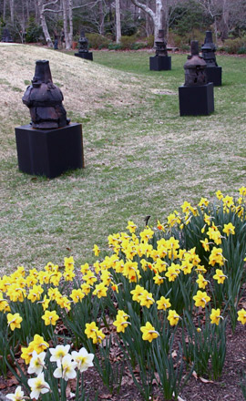 Daffodils in bloom near the 10 bronze stacks by Peter Voulkos in the LongHouse Reserve amphitheater. KYRIL BROMLEY