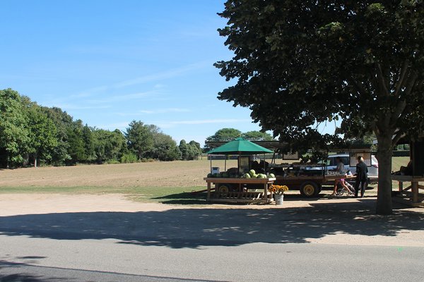 The Weigley family farmland and the Babinski farm stand in Wainscott. KYRIL BROMLEY