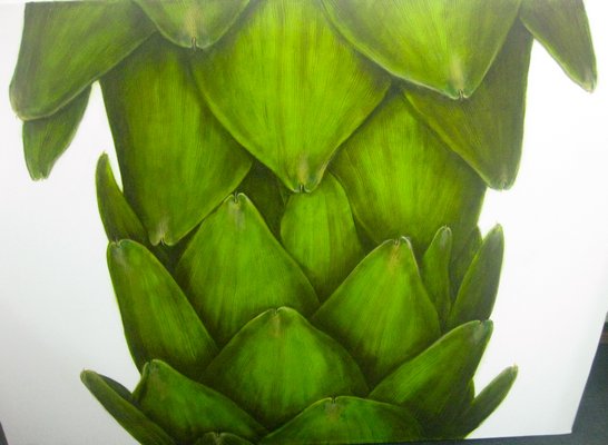 Work from Henry Koehler's upcoming artichoke show. BY COURTESY SUSAN MADONIA