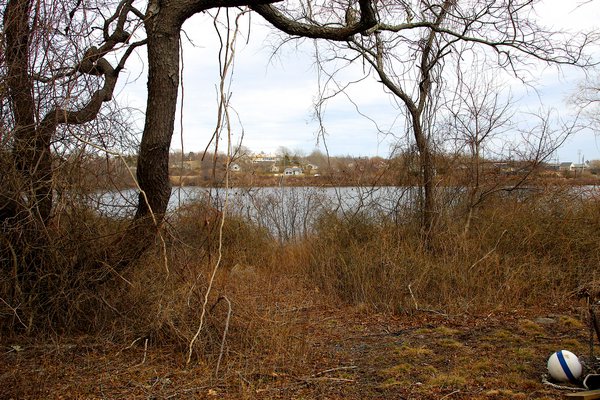 The land at the end of Endicott Road on Shepherds Neck, on Fort Pond, was approved for purchase by East Hampton Town for $1.1 million. Kyril Bromley