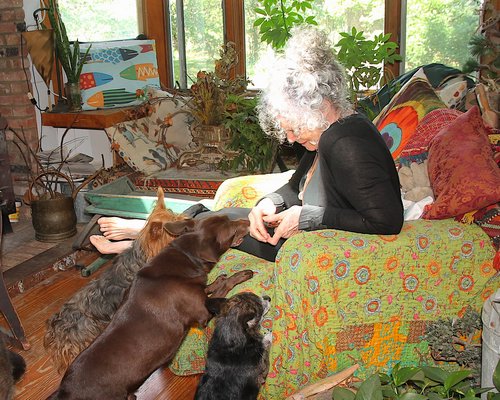 Carolyn Bistrian and three of her five dogs. KYRIL BROMLEY