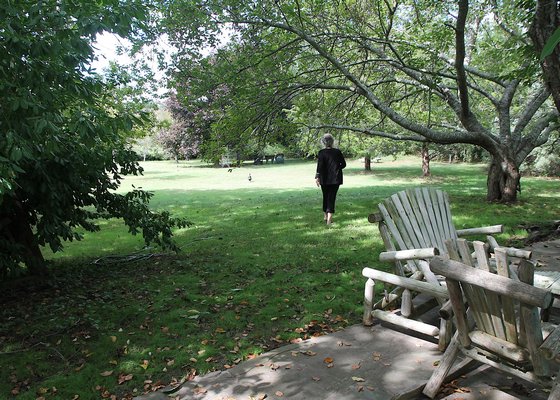 The yard has plenty of space for guest and host dogs to run around in. KYRIL BROMLEY