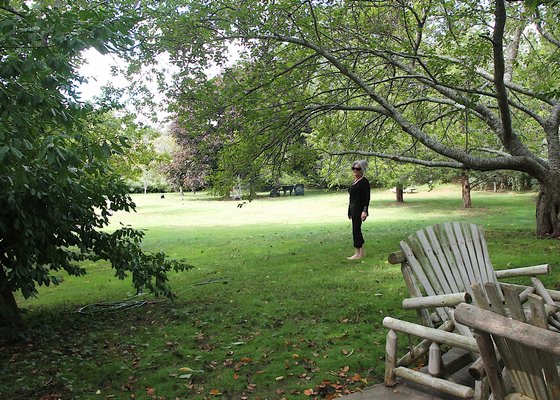 Carolyn Bistrian has a large yard at the guest house, as asset for those who visit with their dogs. KYRIL BROMLEY